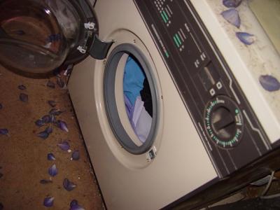 The Shed - washing was still in the dryer