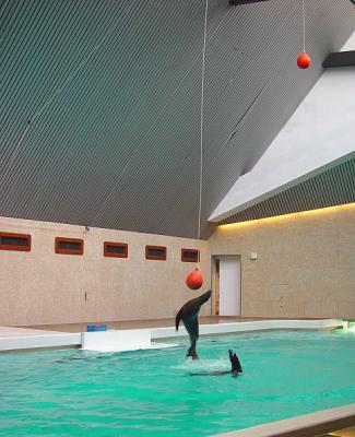 Nuremberg Zoo - playing ball