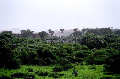View from the Fort, of the whitewashed churches through the trees