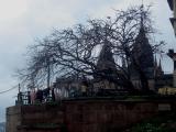 Temple and trees