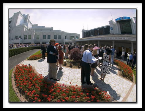 D-Paddockview_4286.jpg