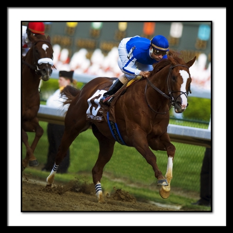 5297SpanishChestnutLeadsDerbyFirstTimeAround