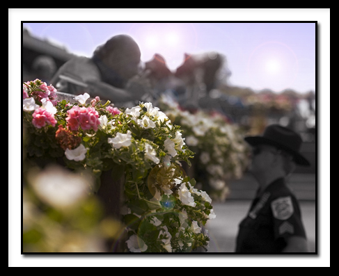 D_Belmontfan6824.jpg