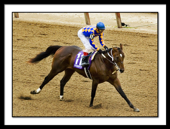 B-PRIVATE VOW Juvenile, John Velazquez-broken bridle-2250EDIT.jpg