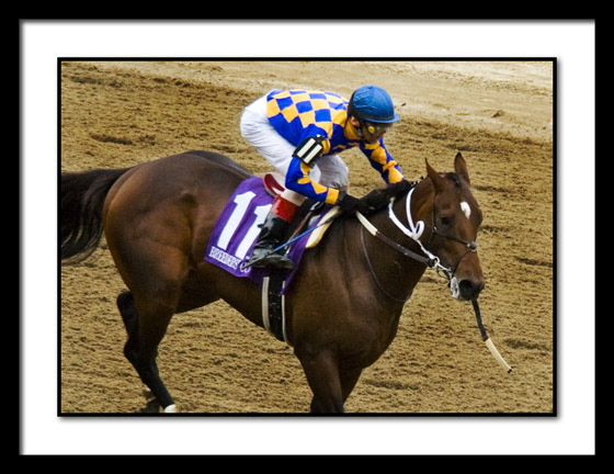 B-PRIVATE VOW-broken bridle-2252EDIT.jpg