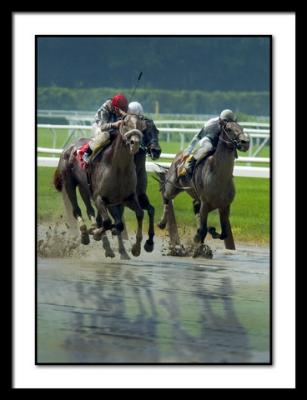 B-DSC_0014EDIT.jpg