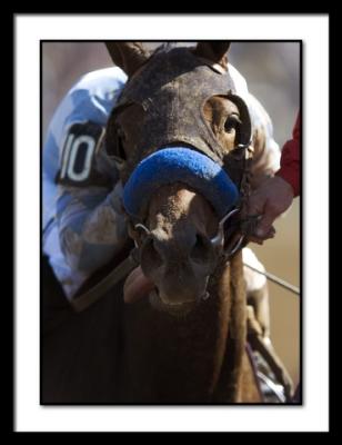 B-DSC_1067EDIT.jpg