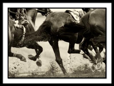 B-DSC_1678EDITgrainhorses.jpg