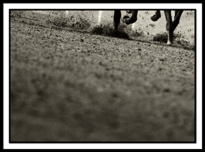 B-HorsefeetgrainB&W.jpg