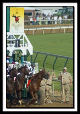 v3/31/236931/3/44419061.Dderby2sortitout.jpg