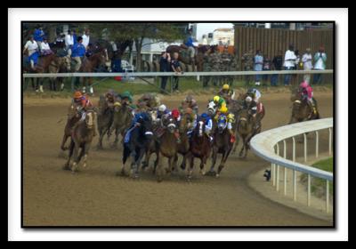 v3/31/236931/3/44419062.Dderby3.jpg