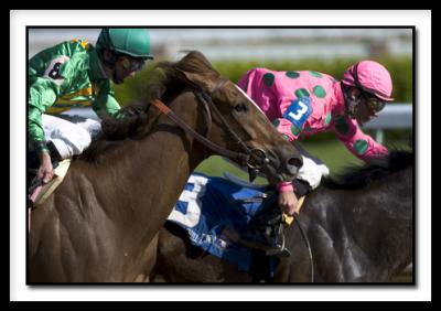 3973DerbyThursday