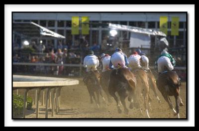 D-KentuckyOaks_4555.jpg