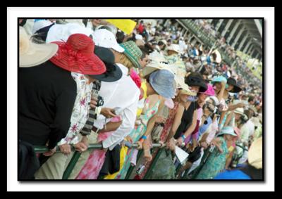 HATS4299.jpg
