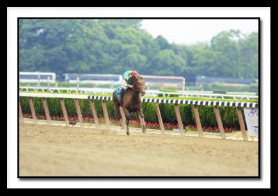 AfleetAlexWinsBelmontStakes