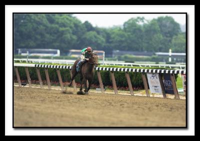 AfleetAlexWinsBelmontStakes2