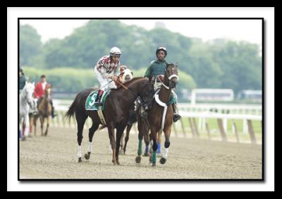 FunnyCide0299.jpg