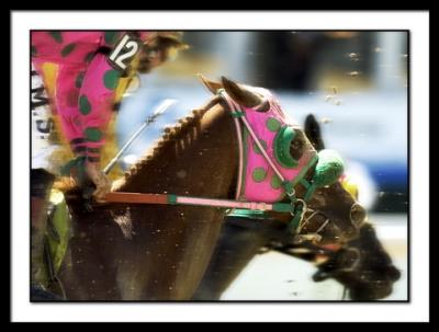 5763Race2PreaknessUndercard