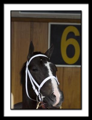 4802HalfOursBeforeRace