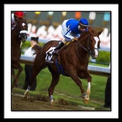 5297SpanishChestnutLeadsDerbyFirstTimeAround
