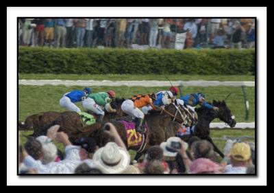 v3/31/236931/3/45170155.BuzzardsBayDerbyD_3441.jpg