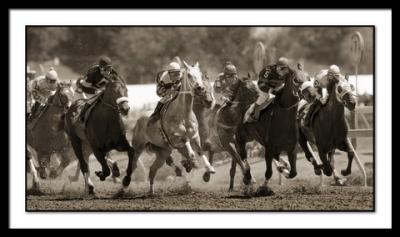 5701Race2PreaknessUndercard