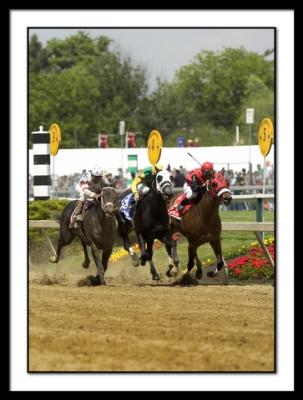 6236Willyo'theValley(cobredbyBillClifton)WinsMarylandBCHandicapG3
