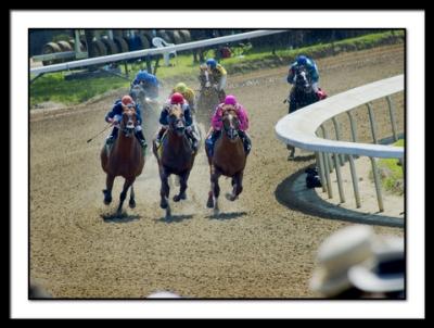 B-DSC_8130EDIT.jpg