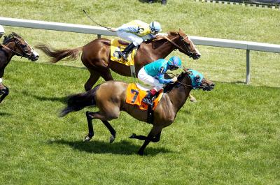 6212FilmMaker(ownedbyDonAdamsCourtlandtFarms)WinsGalloretteHandicapG3