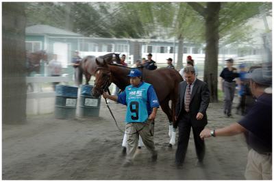 AlexLeavesTheBarn4311focus.jpg