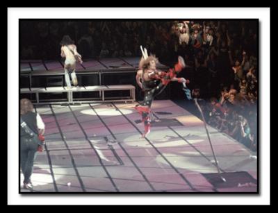 D-vanhalen1.jpg