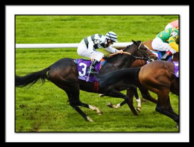 B-WHIPPER, John Murtagh, Mile-2314EDIT.jpg