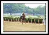 AfleetAlexWinsBelmontStakes