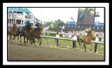 DerbyIllusion: AfleetAlexWins?