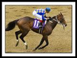 B-PRIVATE VOW Juvenile, John Velazquez-broken bridle-2253EDIT.jpg