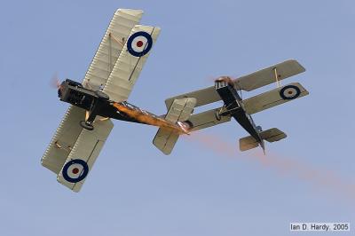 IMG_6196.jpg