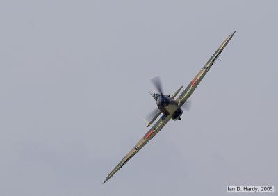 IMG_6385.jpg