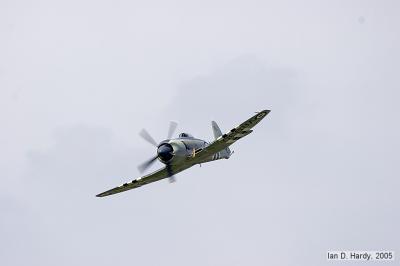 IMG_6545.jpg