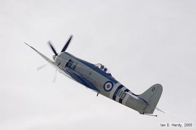 IMG_6549.jpg
