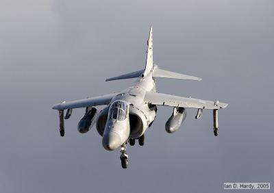 Yeovilton Air Day 2005: Versatile Maritime Force