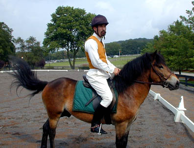 Exmoor3.JPG