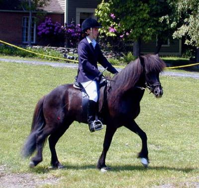 WC Tryouts - May 28, 2005