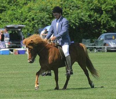 Bonnie Brae Polo Classic - June 12, 2004