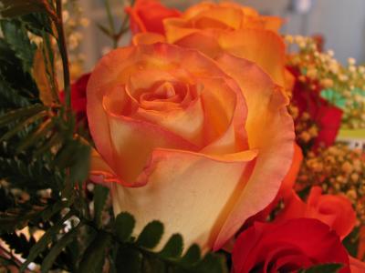 IMG_2949_rs.jpg