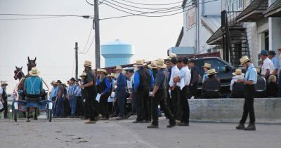 Amish men at a horse auction