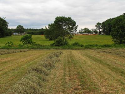 The far field will be built on with a few houses