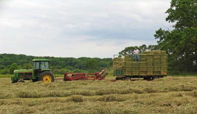 Baling hay