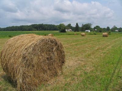 Round bales