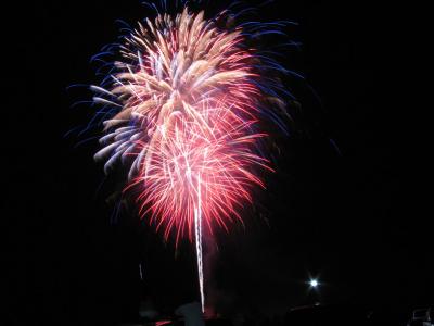 v3/31/297331/3/45735255.IMG_3669_rs.jpg
