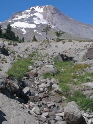 v3/31/297331/3/46958990.IMG_4388MtHood.jpg